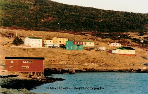 Blue ocean water in foreground. A red two story fishing premise in the lower left. Yellowed grass along a slope beyond the ocean capped by a row of houses. Starting from the left the housea are white, yellow, green and white. A tree covered hillside sits behind the houses.