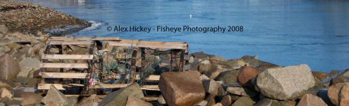 broken lobster pot washed up on shoreline