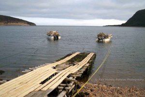two white open boats at anchor laden with wooden lobster pots