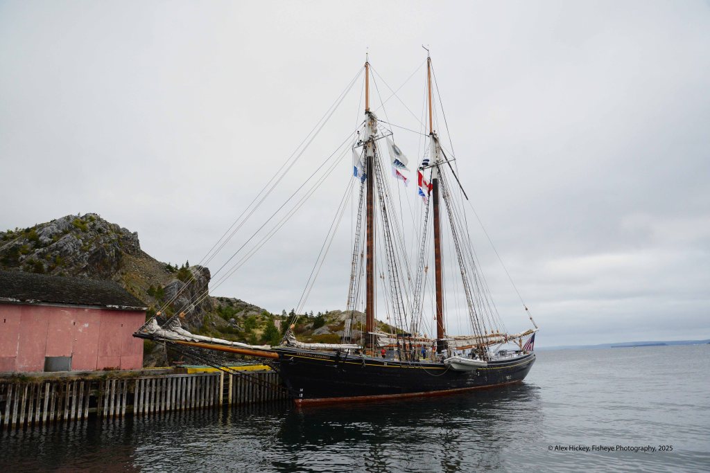 Black schooner, Ernestina Morrissey at dockside in Brigus, Newfoundland.